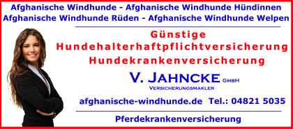 Afghanische-Windhunde